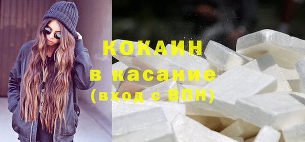 шишки Переславль-Залесский