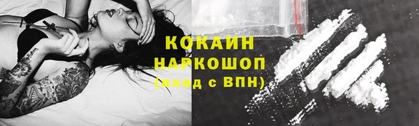 эйфоретик Пересвет