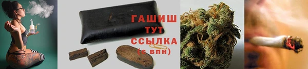 шишки Переславль-Залесский