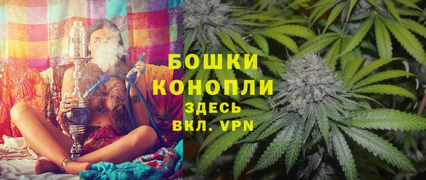 эйфоретик Пересвет