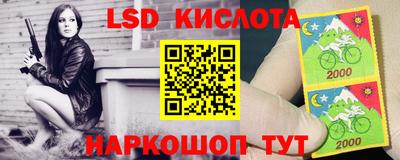 a pvp Новозыбков