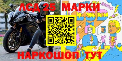 винт Новокубанск
