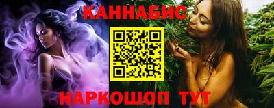 a pvp Новозыбков
