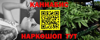 спиды Новодвинск