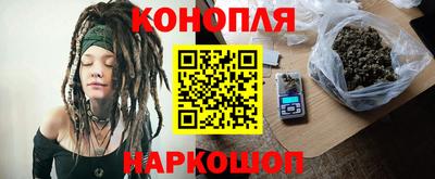 a pvp Новозыбков