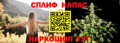 спиды Новодвинск