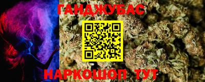 a pvp Новозыбков