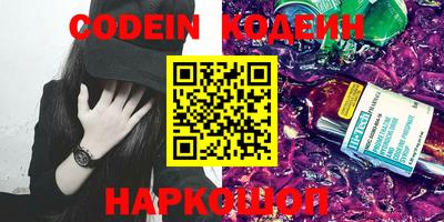 a pvp Новозыбков