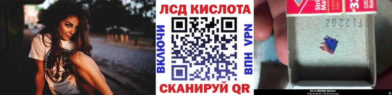 ссылка на мегу как войти  Урус-Мартан  Марки N-bome 1,8мг 