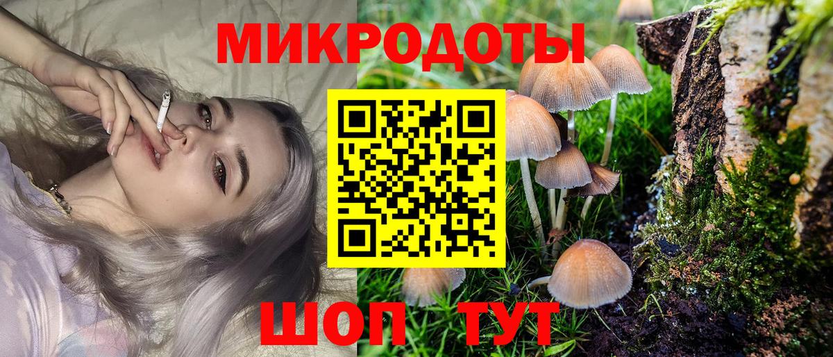 Галлюциногенные грибы Psilocybe  Вход с VPN  Урус-Мартан 