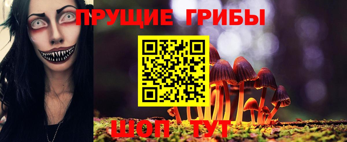 Псилоцибиновые грибы мицелий Урус-Мартан